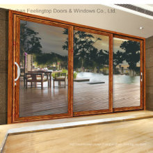 Aluminum Frame Glass Interior Front Doors (FT-D120)